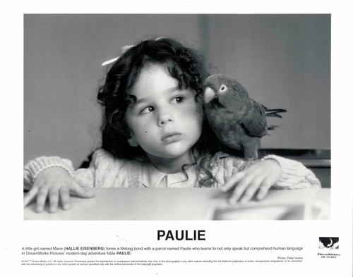 Paulie ein plappermaul macht - -,