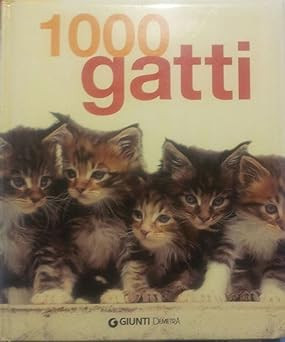 Katzen chat - katzen, chat,